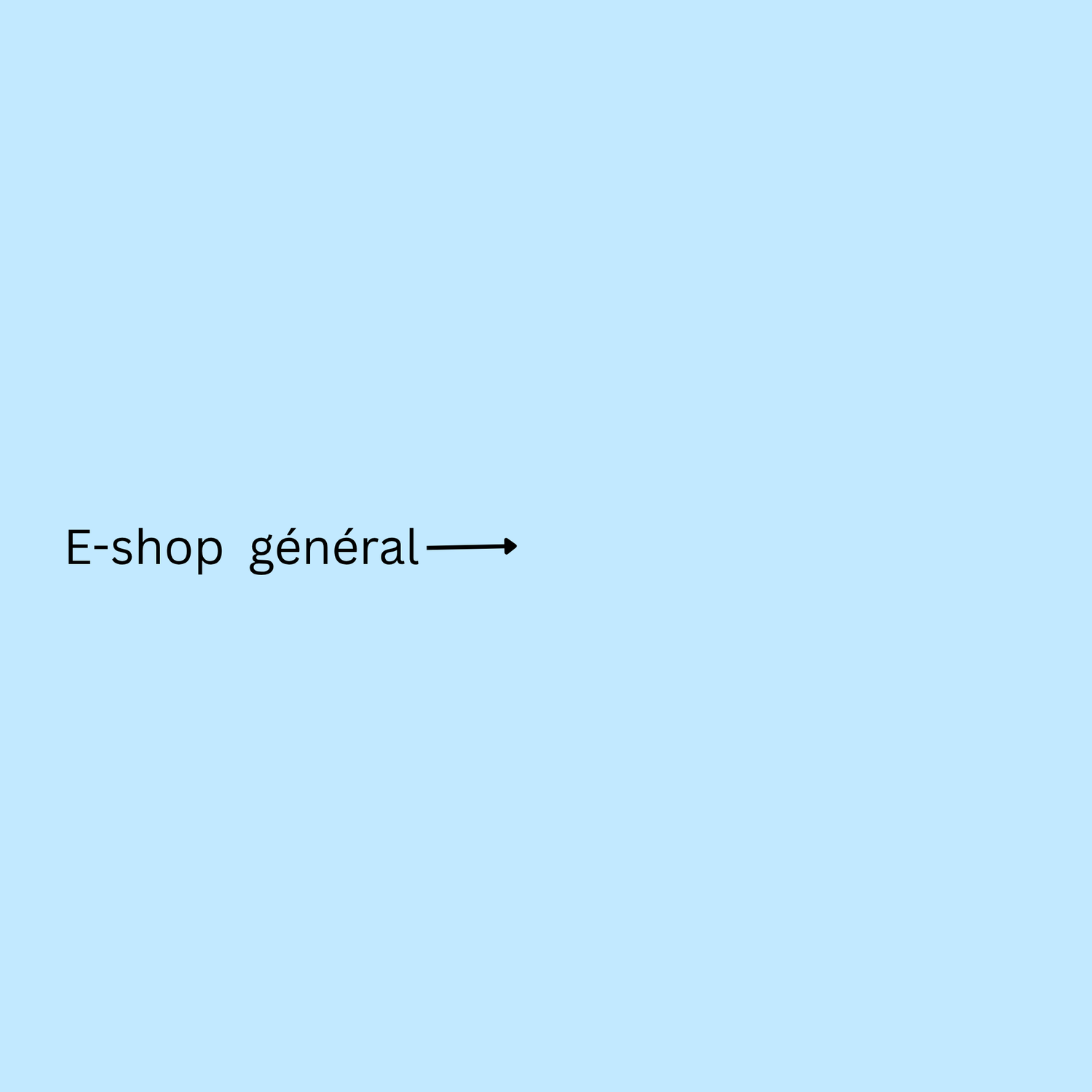 E-Shop Général